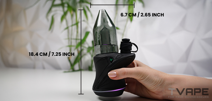 Focus V Carta Sport E Rig Abmessungen