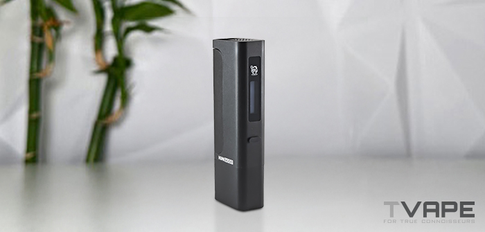 Huni Badger Pro Test: E Rig, Dab Pen, Beides oder Keines?