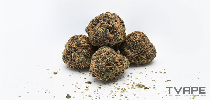 Cookies Cannabis-Sort  eine Nahaufnahme