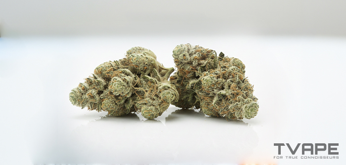 Haze Cannabis-Sorten  eine Nahaufnahme