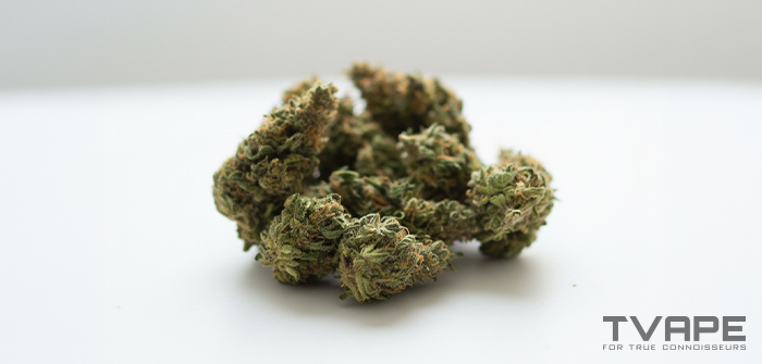 Hybride Cannabissorte: eine Nahaufnahme