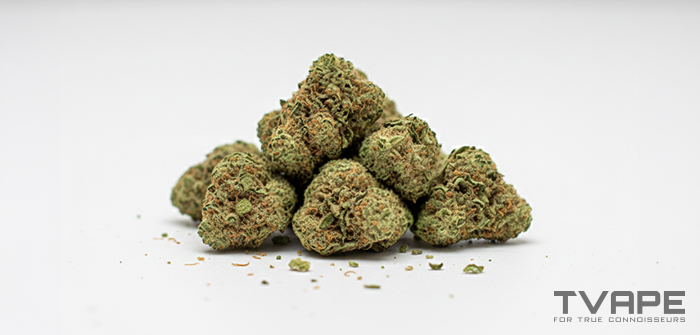 Indica-Cannabissorte: eine Nahaufnahme