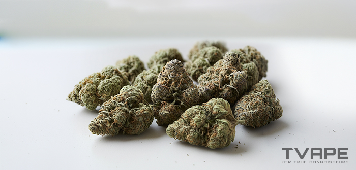 Kush-artige Cannabis-Sorten  eine Nahaufnahme