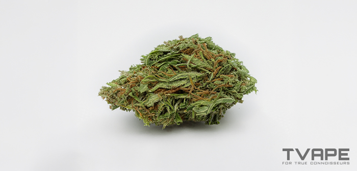 Sativa-Cannabissorte: eine Nahaufnahme