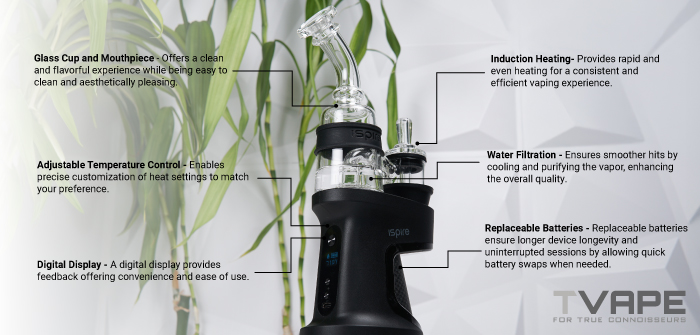 Ispire Daab E Rig - die wichtigsten Merkmale